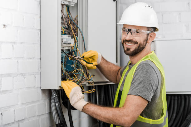 Best Electrical Troubleshooting Services  in Lake City, MN