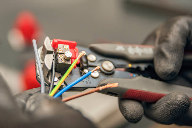 Best Electric Panel Repair  in Lake City, MN