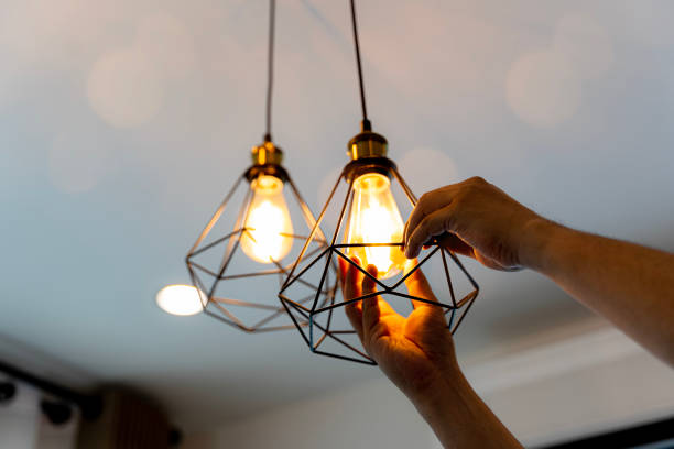 Best Electrician for Home Renovation  in Lake City, MN